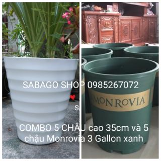 Combo 5 chậu cao 35cm và 5 chậu Monrovia 3 Gallon Xanh hàng VN chất lượng