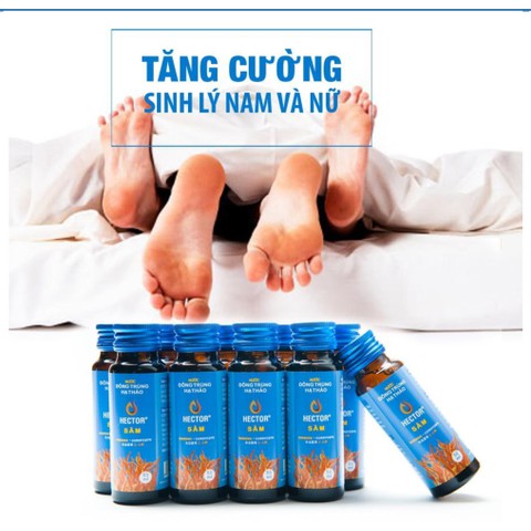 Nước Đông Trùng Hạ Thảo Hector Sâm Hộp 10 Chai | BigBuy360 - bigbuy360.vn