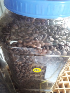 Cà phê hạt,bột nguyên chất 1kg