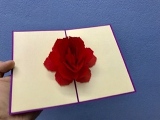 Thiệp popup hoa hồng