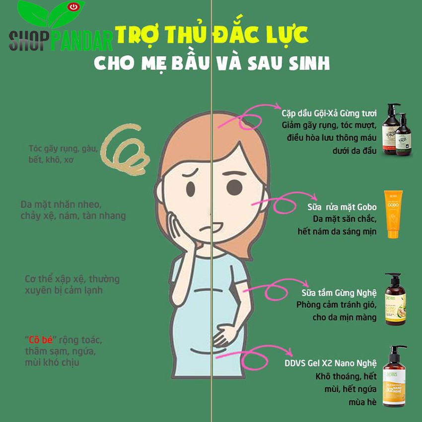 [CHO MẸ BẦU] Dầu gội, xả gừng và sữa tắm gừng nghệ và dung dịch vệ sinh phụ nữ cho các mẹ bầu và sau sinh, PANDAR