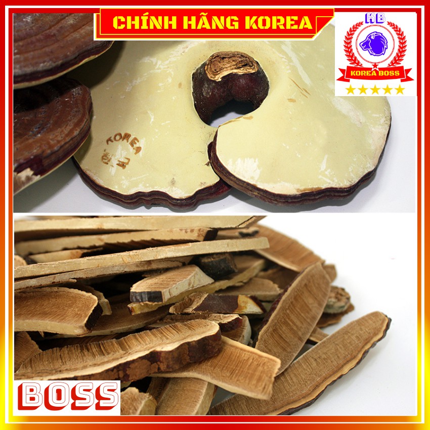 Nấm linh chi hàn quốc hộp quà thượng hạng - Nấm vàng chanh 1kg - tranglinhkorea