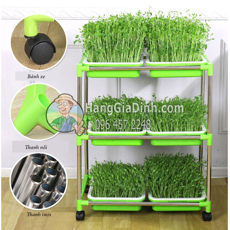 Bộ kệ trồng cỏ lúa mì và rau mầm 3 tầng 6 khay giá rẻ