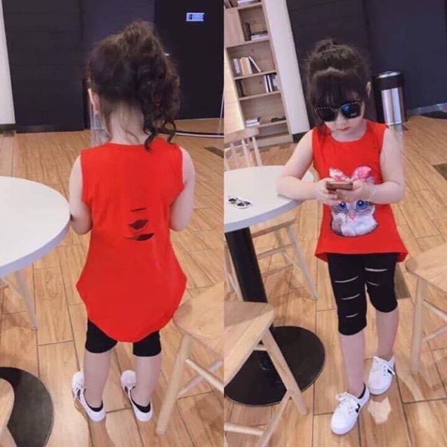 Bộ meo