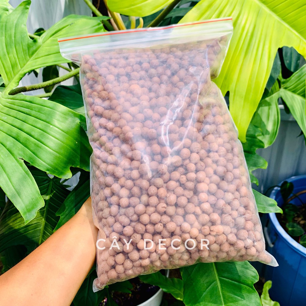 Viên đất nung [ĐẸP, MỊN] hàng Thái, sỏi nhẹ trồng cây, size L bao 1kg