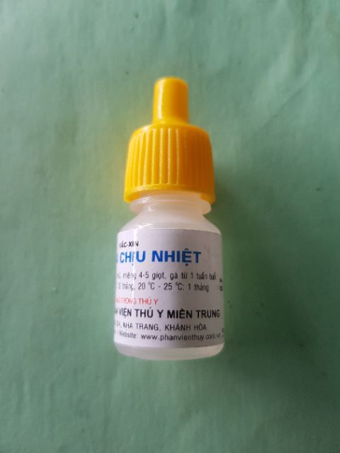 Lasota chịu nhiệt lọ 25 con ngừa dịch tả gà con
