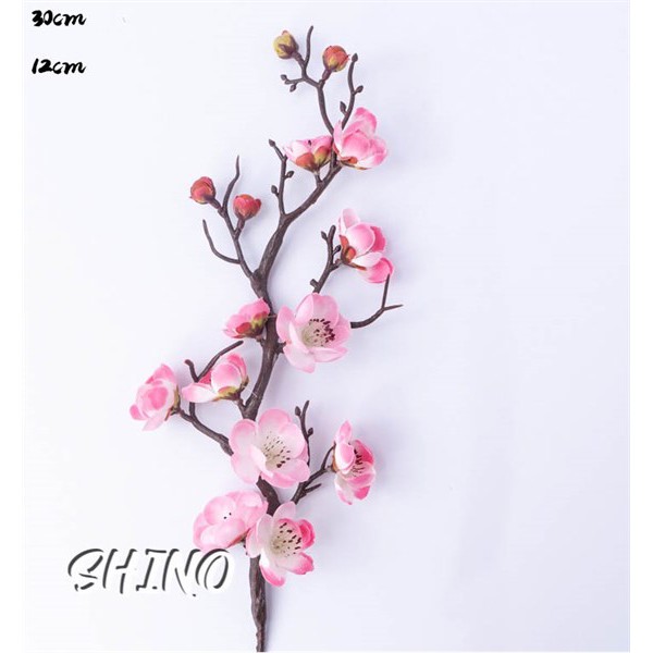 Cành hoa đào hồng