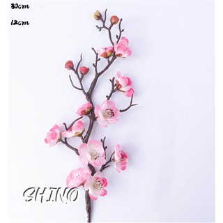 Cành hoa đào hồng