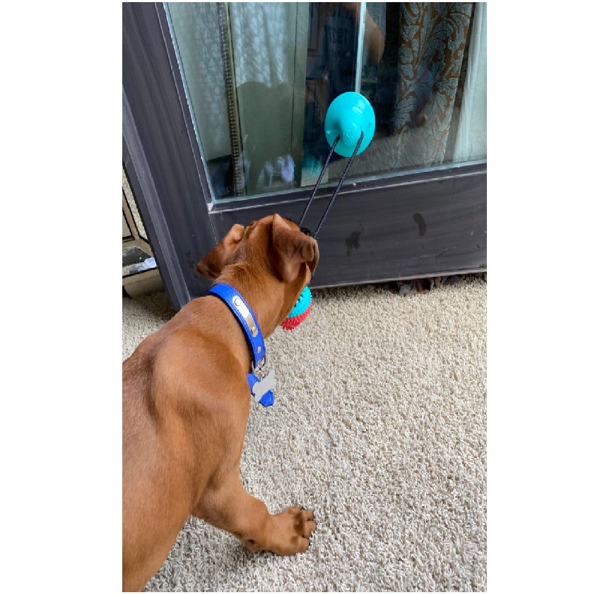 ĐỒ CHƠI CHO CHÓ, QUẢ BÓNG RÒ RỈ THỨC ĂN RÈN LUYỆN THỂ LỰC - LOVE PETS SHOP