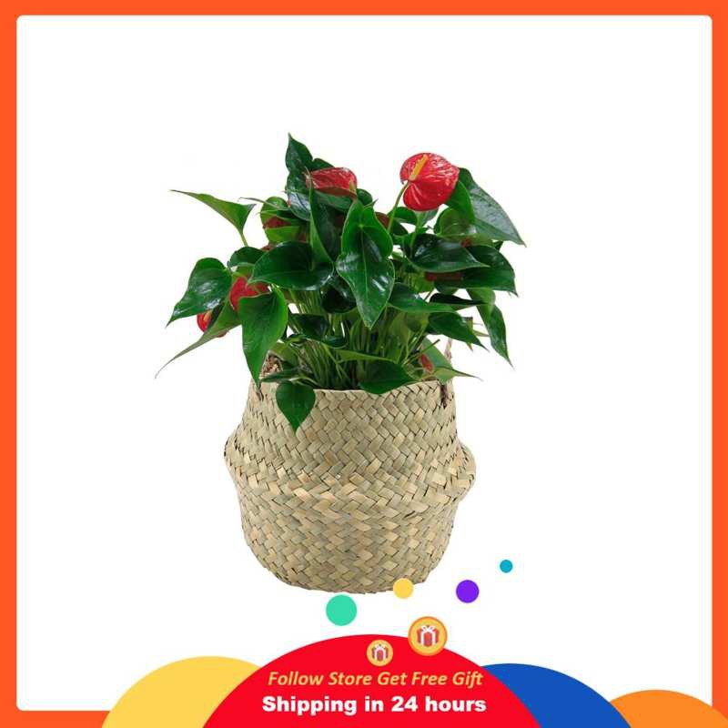 Goon Foldable Natural Seagrass Woven Clothes Storage Organizer Flower Pot Basket