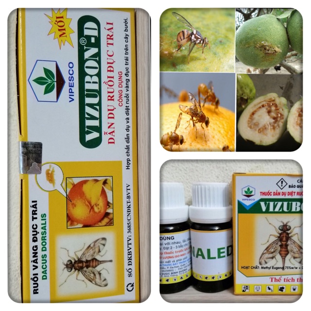 [Combo 5cặp] Thuốc dẫn dụ ruồi vàng đục trái VIZUBON-D - 2chai/hộp nhỏ