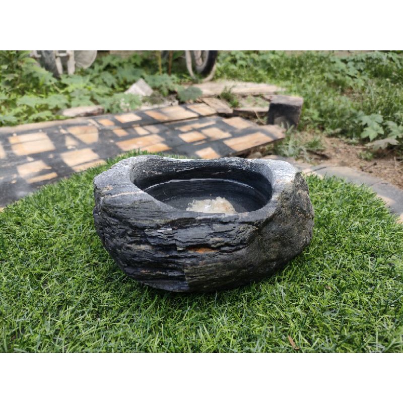 chậu trồng bonsai, sen đá,xương rồng, bể cá mini