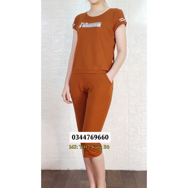 Đồ Bộ Nữ Mặc Nhà💖FREE SHIP💖Đồ Bộ Nữ Tay Ngắn Chất Cotton Mềm Mịn Thấm Hút Mồ Hôi - Mang Lại Cảm Giác Dễ Chịu - CODE 12 | BigBuy360 - bigbuy360.vn