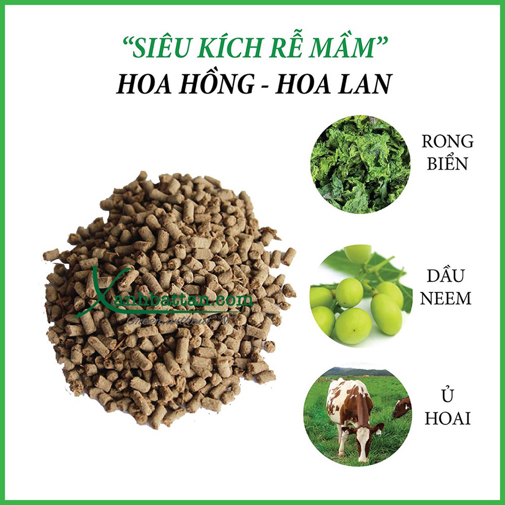 Phân Rong Biển Siêu Kích Rễ Kích Mầm Túi 1 Kg