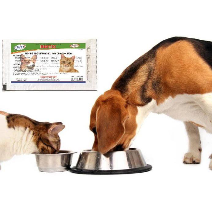 [Xanh lá] Rất cần thiết trong việc chăm sóc SK cho chó mèo - Jpet shop