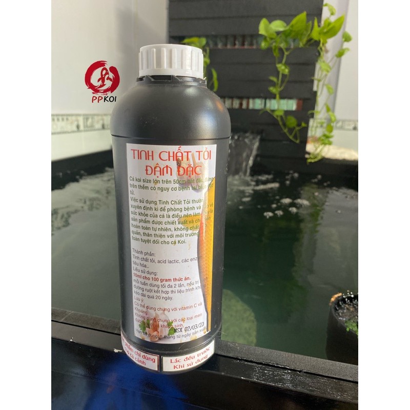 TINH CHẤT TỎI THIẾT YẾU CHO CÁ KOI