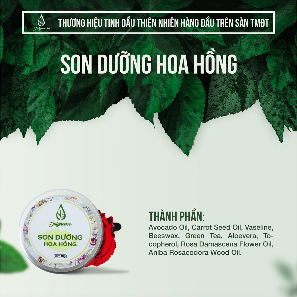 Son dưỡng môi tinh dầu Hoa Hồng 10g JULYHOUSE