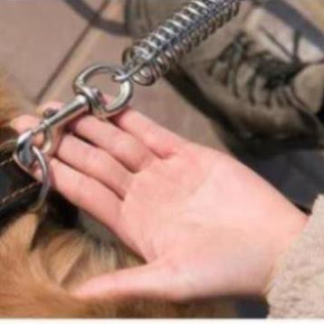 Dây dắt chó lớn + dây  da bò tết cho chó trên 20kg