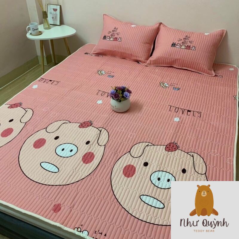 Chiếu đũi điều hoà ⚡️ FREE SHIP ⚡️ Chất liệu Cotton đũi thoáng mát kích thước m6 m8 và 2m