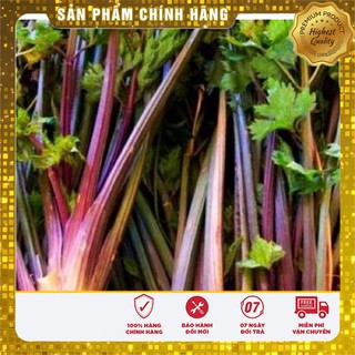 Hạt Giống Cần Tây Đỏ Hà Lan(2gr)
