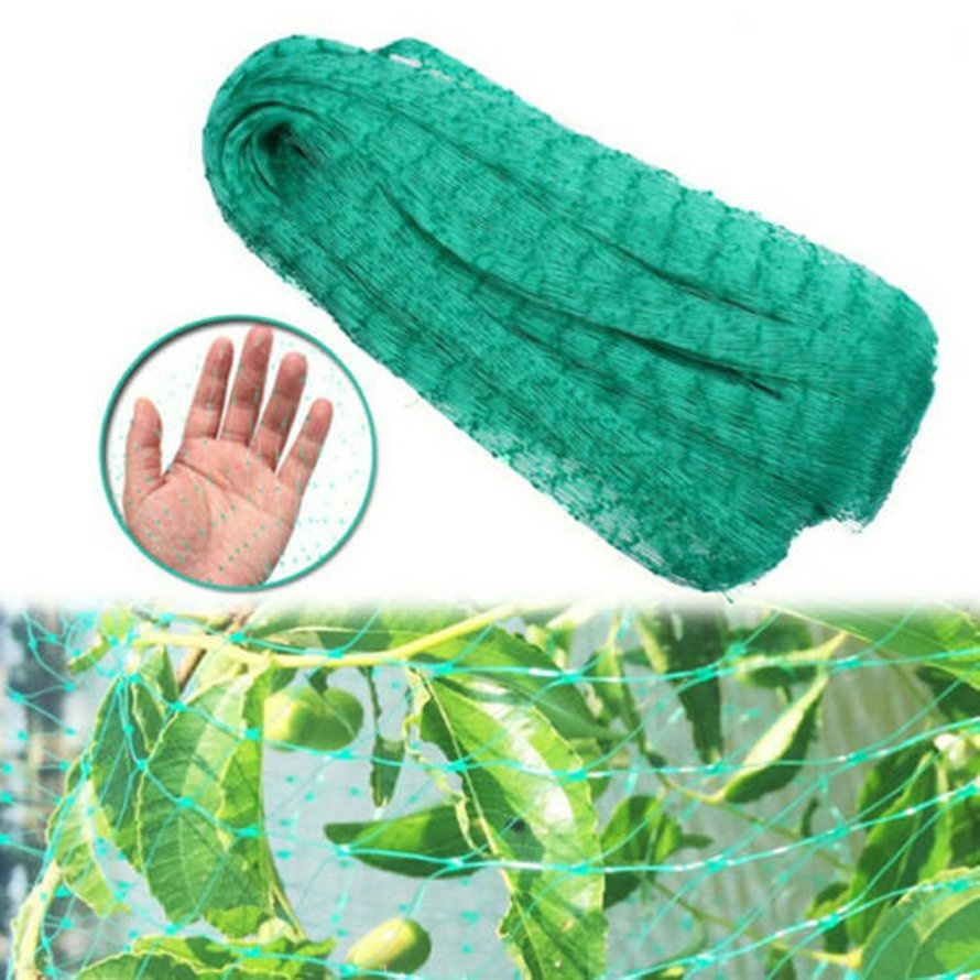 Lưới chống chim Lưới hàng rào Deer Lưới ao xanh Lưới chống chim Bền