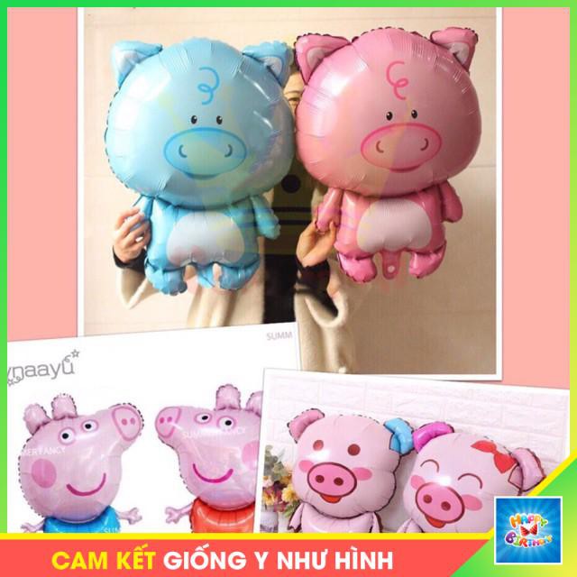Bóng hình Heo đáng yêu #TrangTriSinhNhat