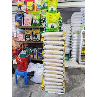 Gạo ST25 Lúa Tôm Túi 5ky (Dẻo Nhiều , Thơm Cơm )