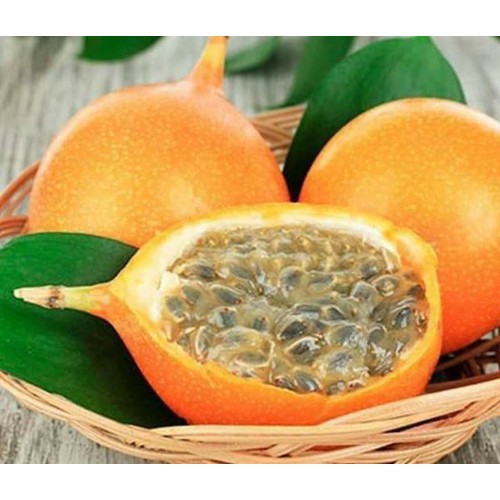 CÂY CHANH LEO SIÊU NGỌT