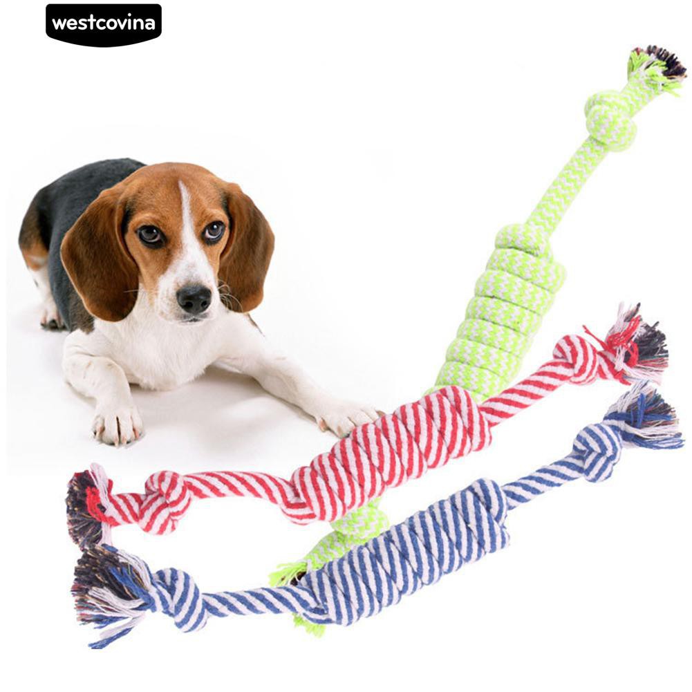 Đồ chơi nhai gặm dây thừng thắt nút cho thú cưng