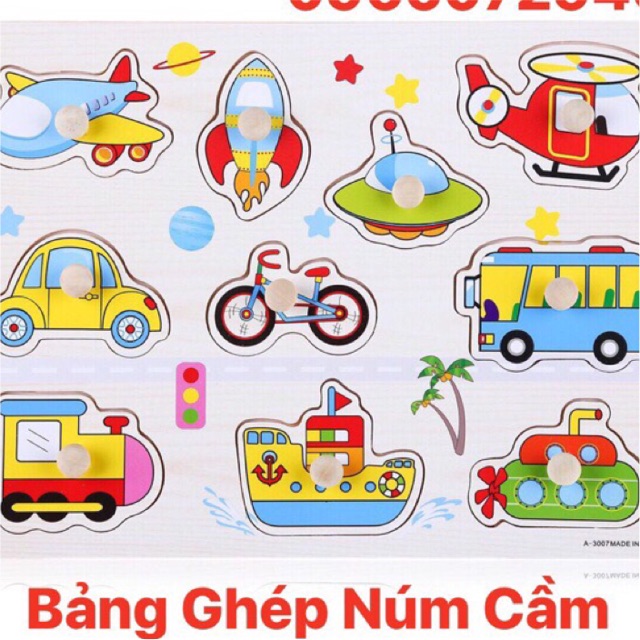 Bảng ghép có núm các chủ đề 20*30cm