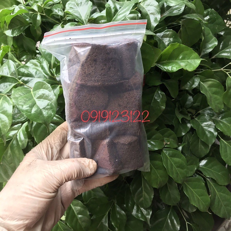 10 miếng mút ươm ki, mươm cây con nhập khẩu Hà Lan