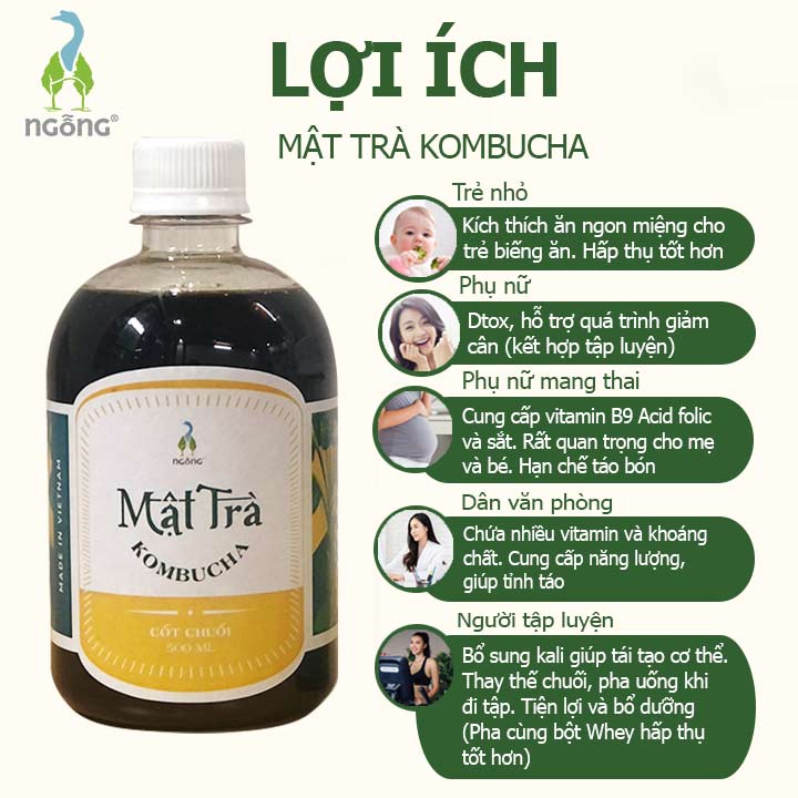 Mật Trà Kombucha Cốt Chuối 500ml- Không Đường Tinh Luyện