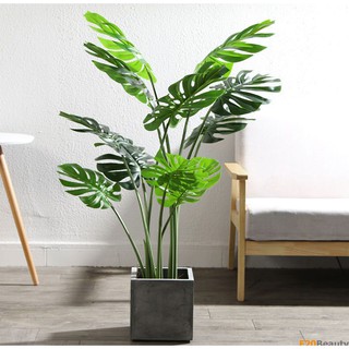 Cây Monstera lá xẻ giả cao 120cm - F20Beauty - Phong cách hiện đại