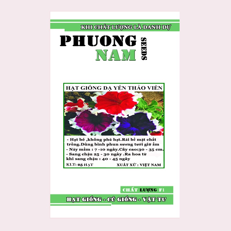 25H - HẠT GIỐNG HOA DẠ YẾN THẢO VIỀN