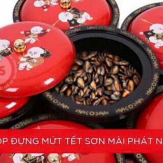Khay đựng mứt tết đẹp nhac hay tuyệt giá hạt rẻ