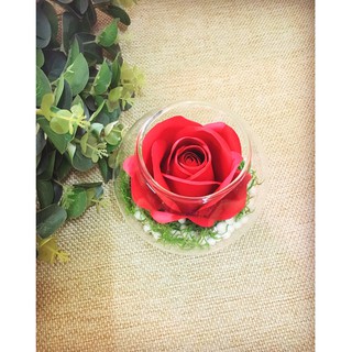 Hoa hồng mỹ thuật cao cấp - tinu flower - được chọn màu, phối màu