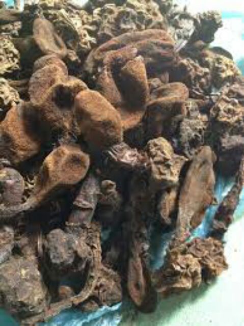 Nấm ngọc cẩu khô 1kg