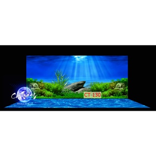 tranh 3d dán bể cá thủy sinh, bể cá rồng, In File gốc đẹp và sắc nét