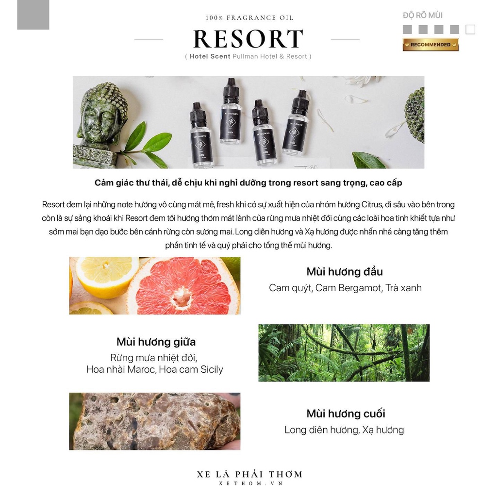 Nước hoa xe hơi gài cửa gió -  LUXURY SET 3 CHAI MÙI HƯƠNG RESORT mùi hương thư thái, dễ chịu 10ml/chai_XETHOM