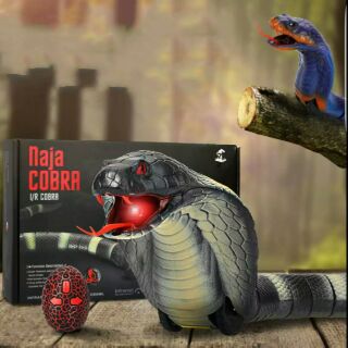 Rắn Hổ Mang Điều Khiển Từ Xa