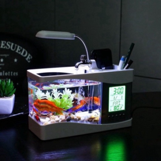 Bể Cá kiêm đồng hồ để bàn