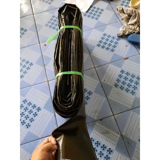 10 mét ống dẫn nước máy bơm phi 100