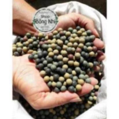 Bi Đất Nung 8mm (1Kg) | Gói bi nén trang trí sân vườn (kích thước 8mm) ..