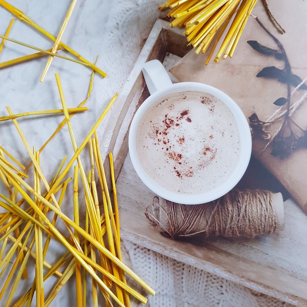 Bông lúa mạch khô tự nhiên trang trí chụp ảnh sản phẩm