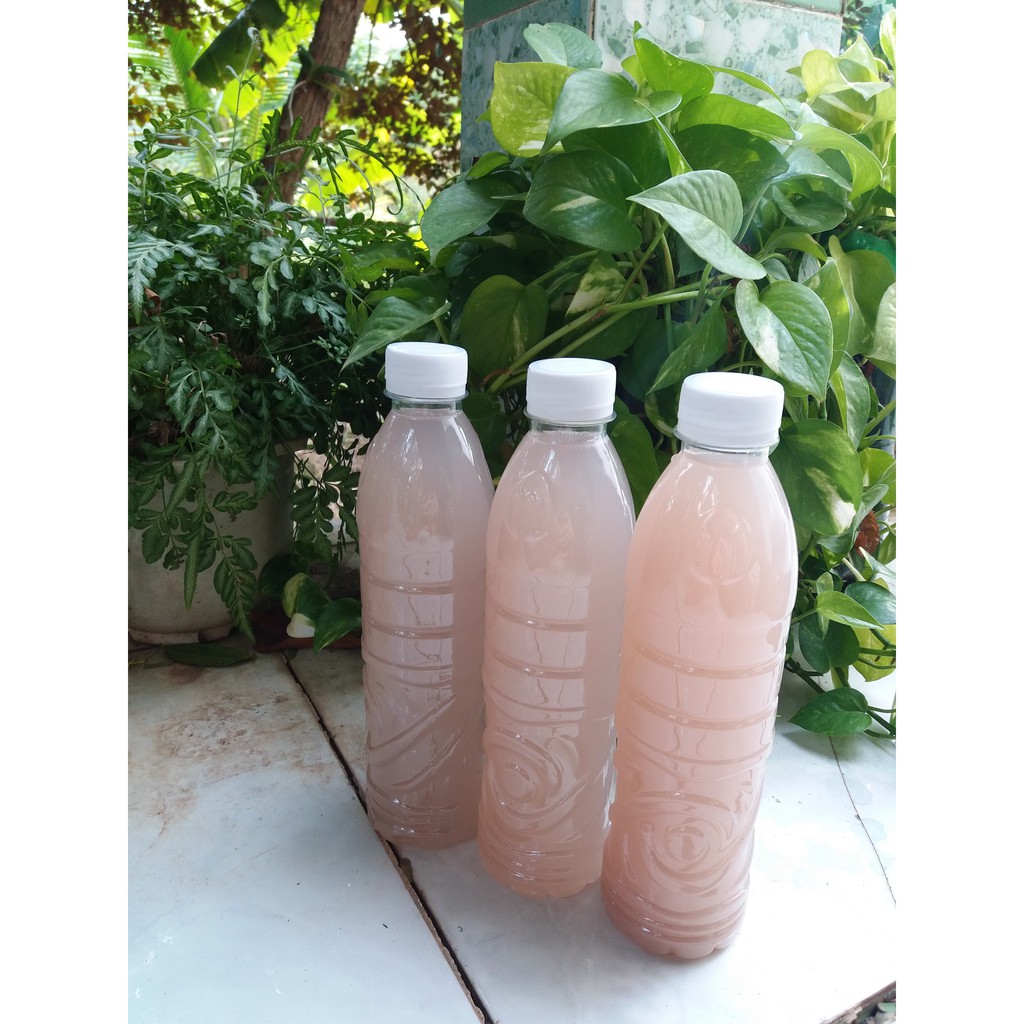 Dung dịch GE chuối 500ml- Phân bón hữu cơ, tưới lan, hoa kiểng