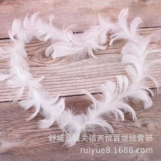 Trang trí dải lông vũ trắng