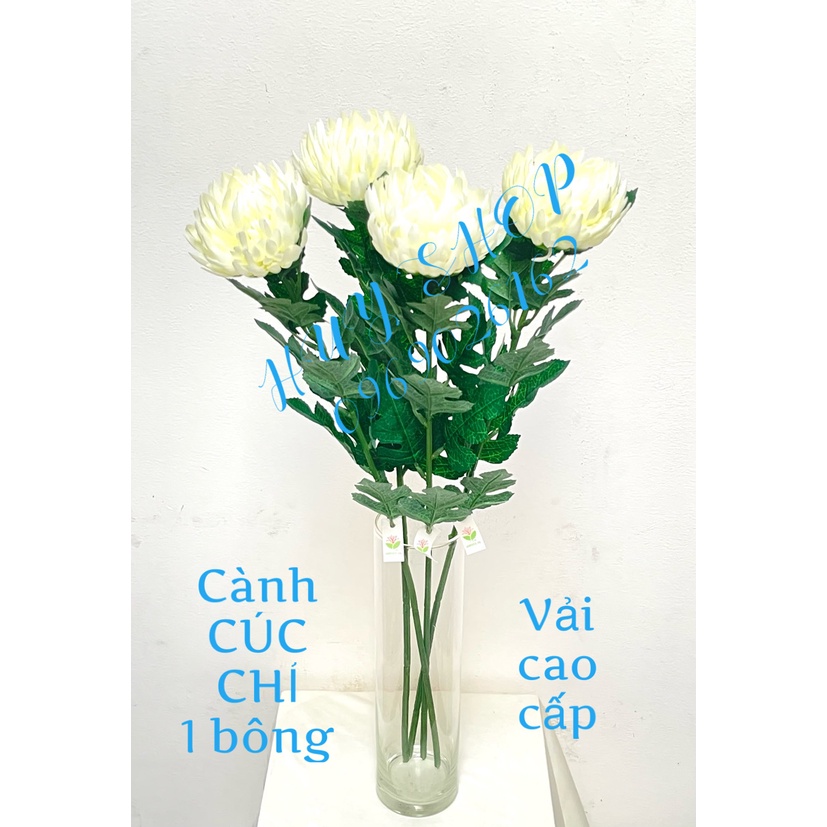 Cành Hoa CÚC CHỈ, Cúc Đại Đóa 1 Bông Vải cao cấp