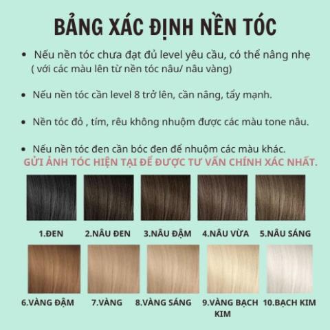 Thuốc Nhuộm Tóc Màu Nâu Đồng Ánh Cam Không Cần Tẩy | Pika