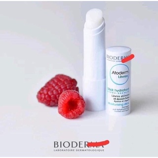 Son dưỡng môi bio