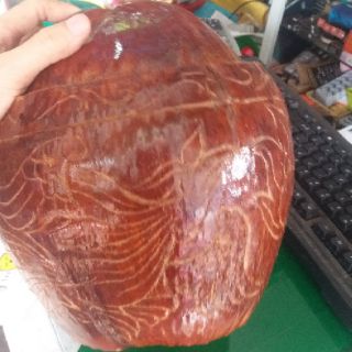 Vỏ bình trà làm bằng trái dừa